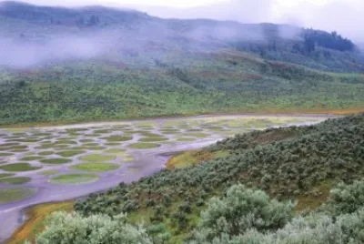 increible jigsaw puzzle