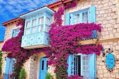 naturaleza