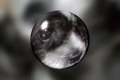 Baby in a bubble!   L