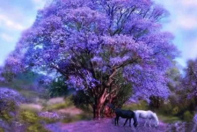 imagem jigsaw puzzle