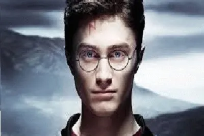 Mr Potter