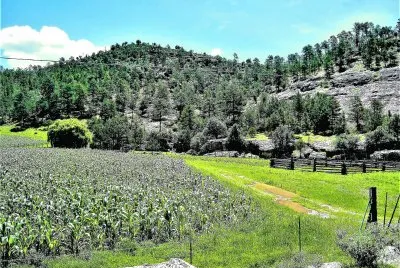 Sierra Tarahumara, Chihuahua.