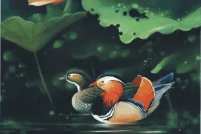 Duck jigsaw puzzle