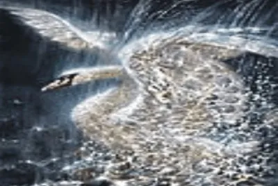 פאזל של Birds
