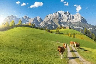 Imagem jigsaw puzzle