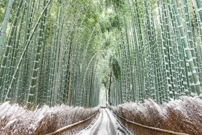 imagem jigsaw puzzle
