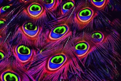 Imagem jigsaw puzzle