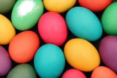 huevos