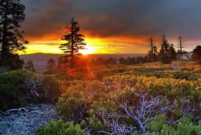 Foto jigsaw puzzle
