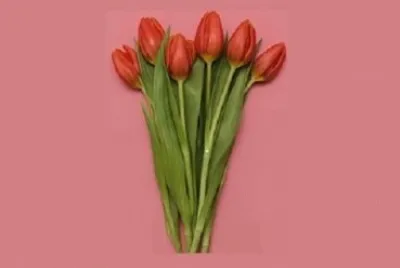 Foto jigsaw puzzle