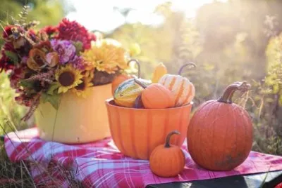 Foto jigsaw puzzle