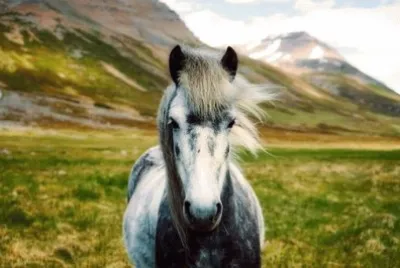 Imagem jigsaw puzzle