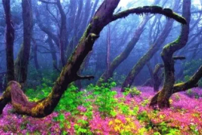 Nature jigsaw puzzle