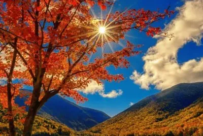 imagem jigsaw puzzle