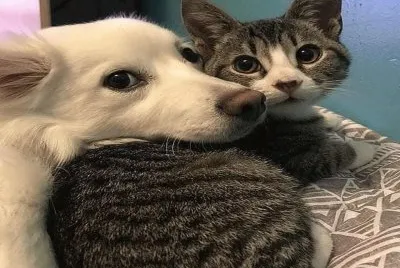â™¥â™¥