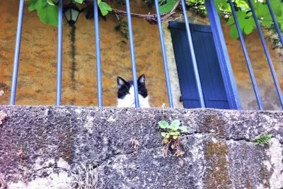 Peppone