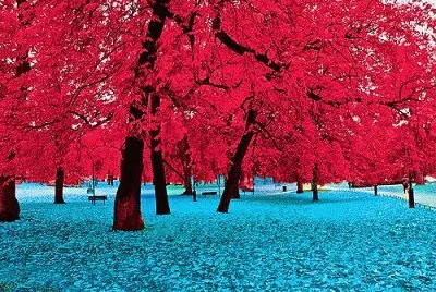 154 jigsaw puzzle