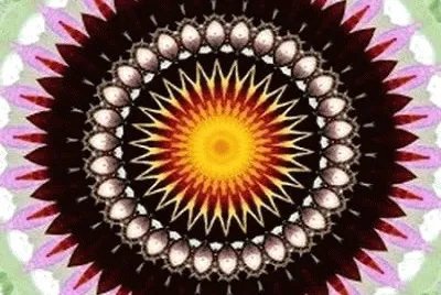 196