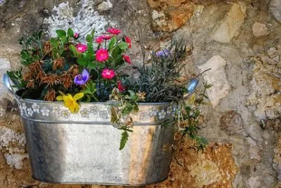 flores