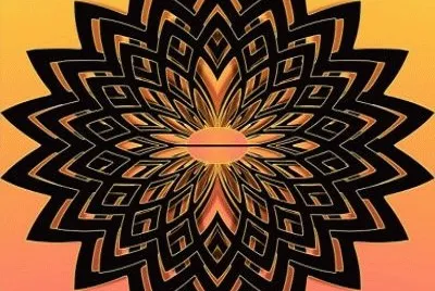 204