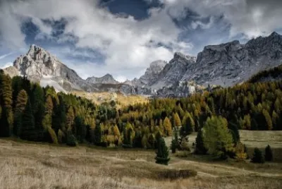 Nature