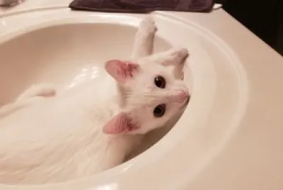 I fits