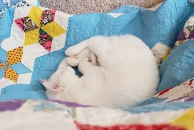 Nap Time