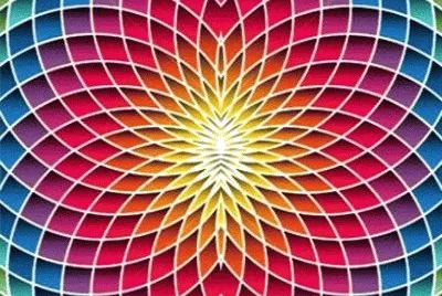 219 jigsaw puzzle
