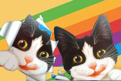 Chats