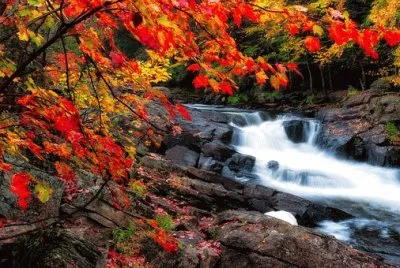 Foto jigsaw puzzle