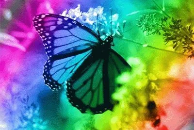 248 jigsaw puzzle