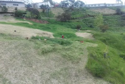 פאזל של detras de casa