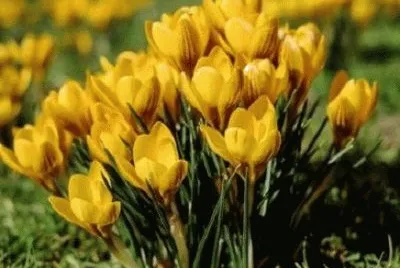 277