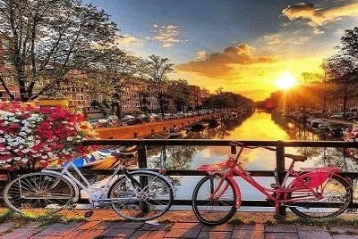 278 jigsaw puzzle