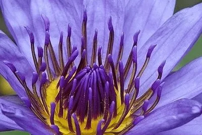 301