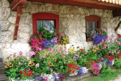Casa con flores