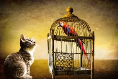 Foto jigsaw puzzle
