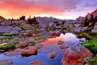 nature jigsaw puzzle