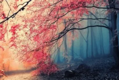 paisaje jigsaw puzzle