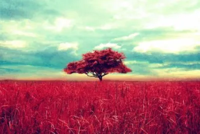 paisaje