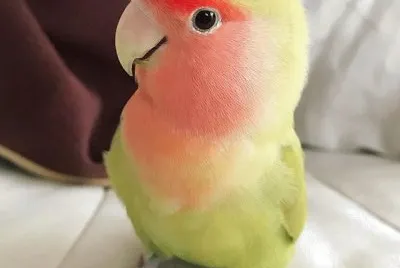 â™¥