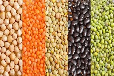 463