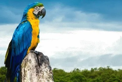 472