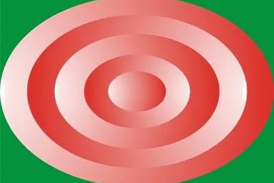 481