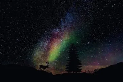 starry night