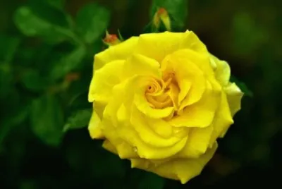OK jigsaw puzzle