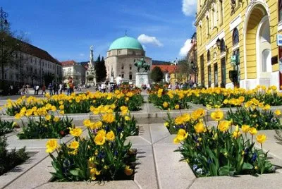 Foto jigsaw puzzle