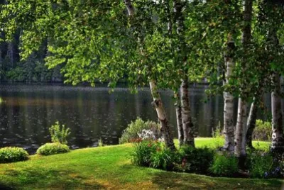 Nature