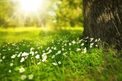 Foto jigsaw puzzle