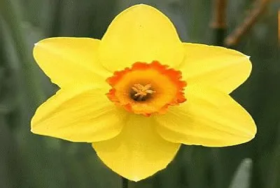 537